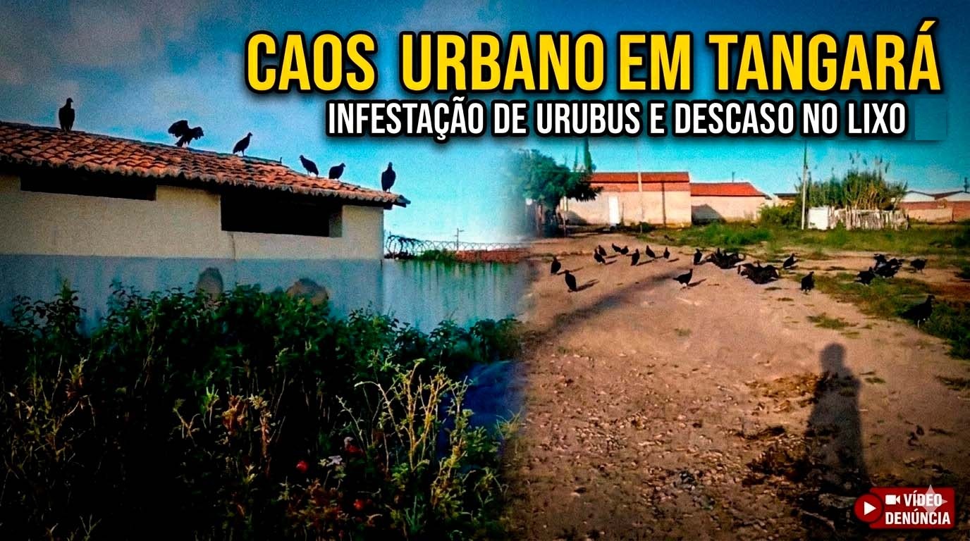 EXCLUSIVO: CAOS EM TANGARÁ! De Capital do Pastel à Cidade dos Urubus: O Escândalo do Lixo que Assombra a Gestão Augusto Alves!